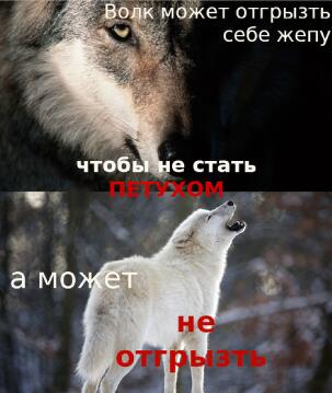 SIXFtKaeC8c.jpg