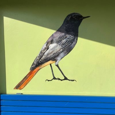 Author icon