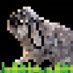 Author icon