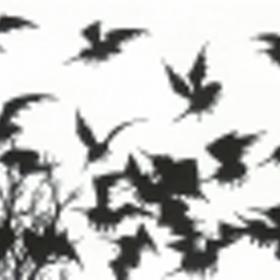 Author icon