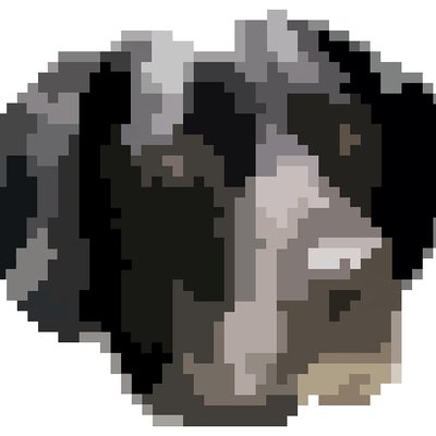 Author icon