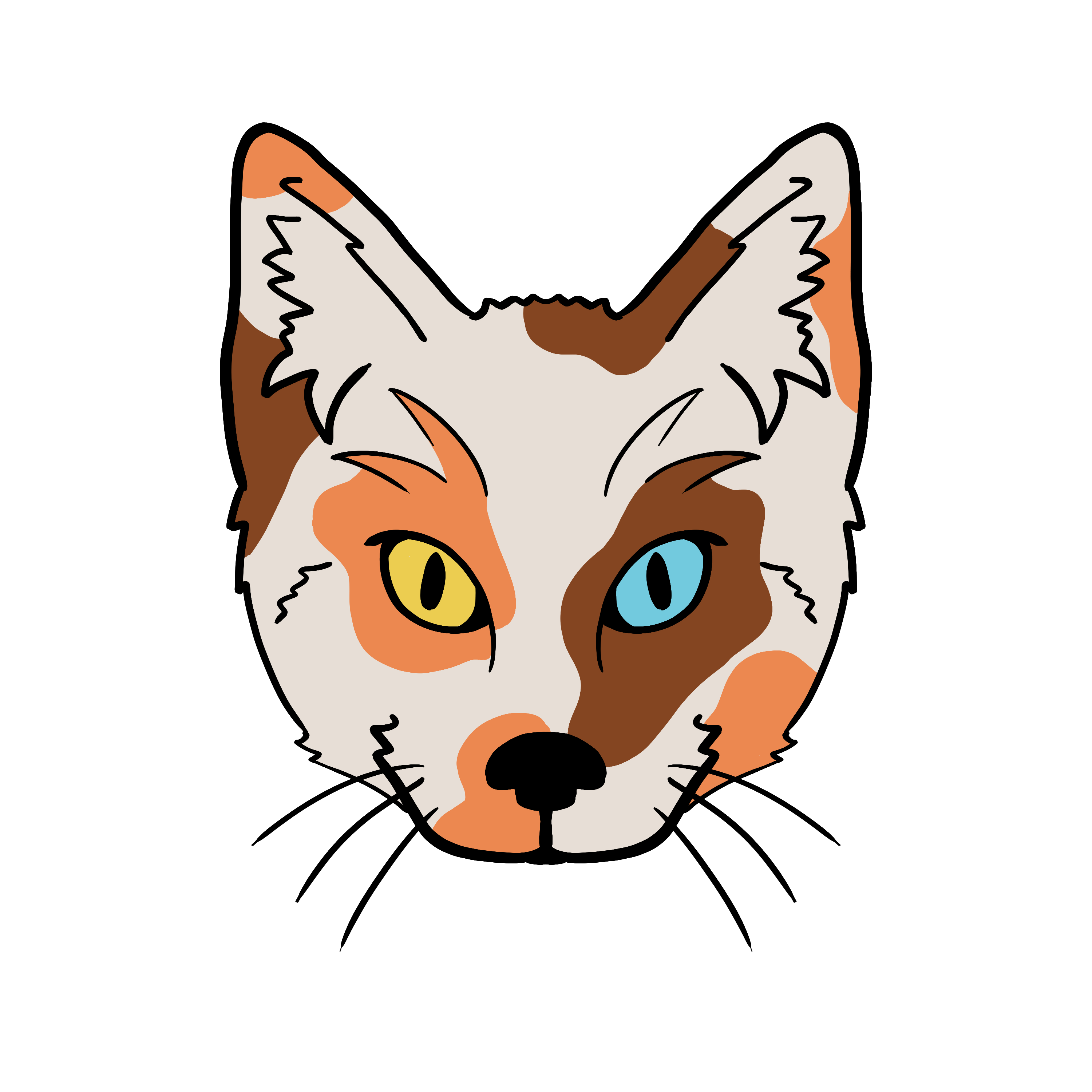 Author icon