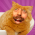 Author icon