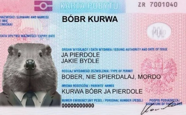 1683206771126612089.jpg?format=webp