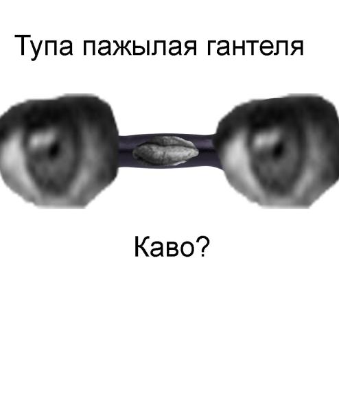 Luz2oQdPAis.jpg?width=494&height=594