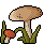 o5eBF85.gif