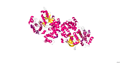 G protein-coupled receptor kinase