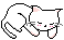kitty
