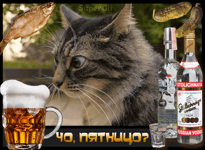 19414455_047ccb84ae3db3120e7c5ed60c6635e