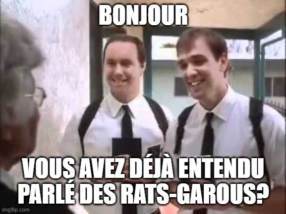 Le Gif/Meme du Jour - Page 33 5vd031