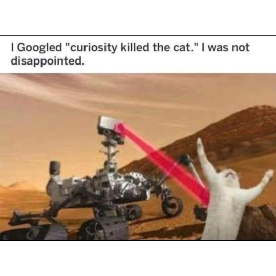 curiosity-killed-the-cat-meme-76197.png