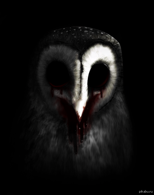 1368295186_1583436800.png?width=498&heig