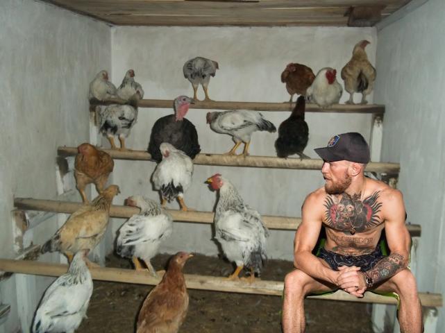 x2ukO_TJ-kM.jpg?width=641&height=481