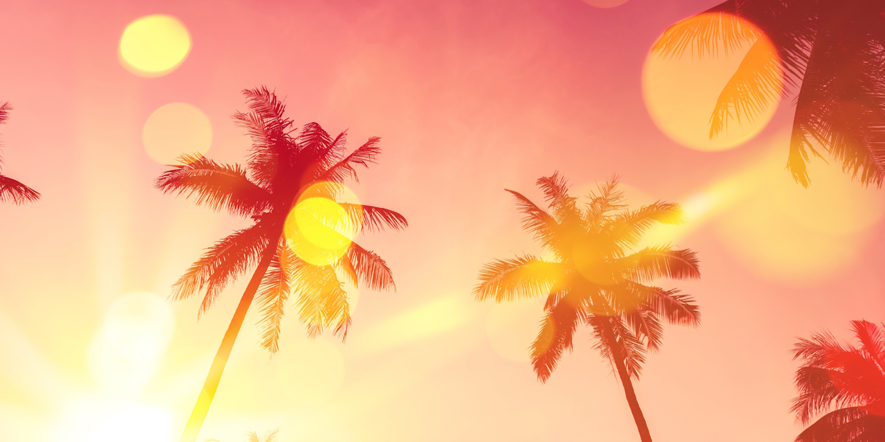 Sunshine/third-party at nightly · LizardByte/Sunshine