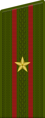 800px-Russia-Army-OF-3-2010.svg.png?width=178&height=459