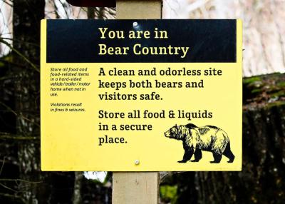 How to Keep Bears Away While Camping (8 Tips and Tricks)