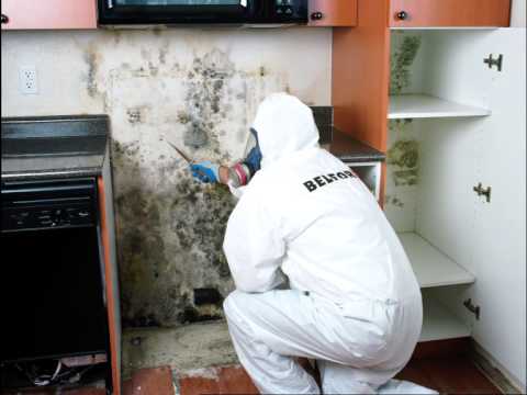 Image de désinfection après un sinistre