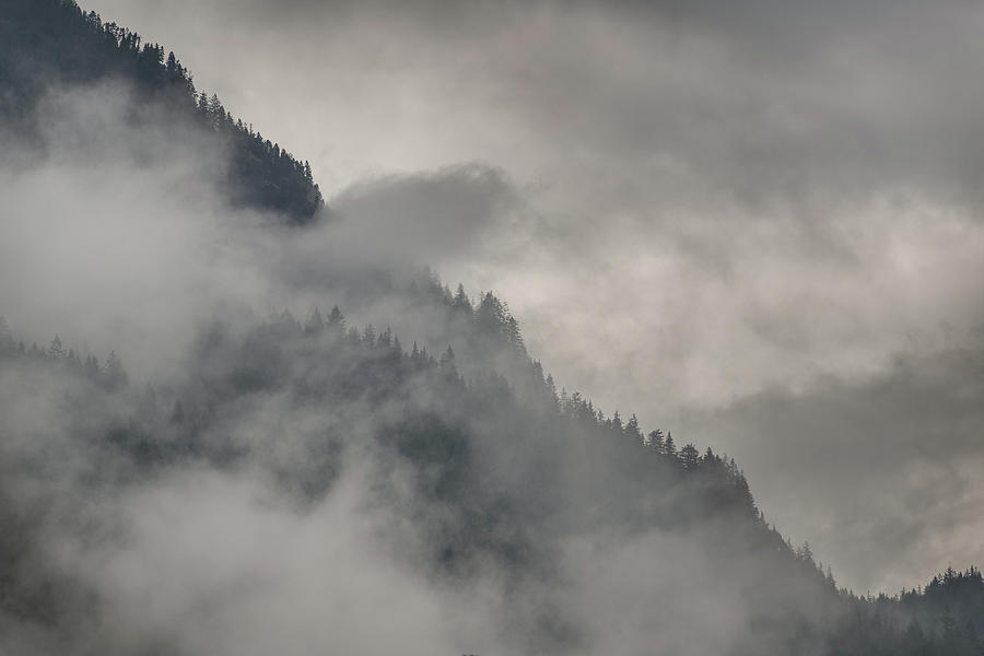 [Image: foggy-mountain-forest-british-columbia-c...domski.jpg]