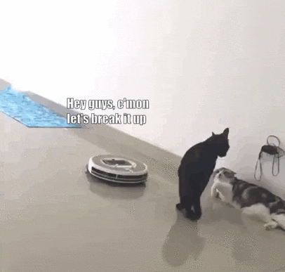 zpimrfmi72u21.gif