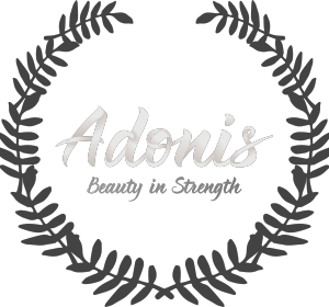 Adonis - what is adonis roblox