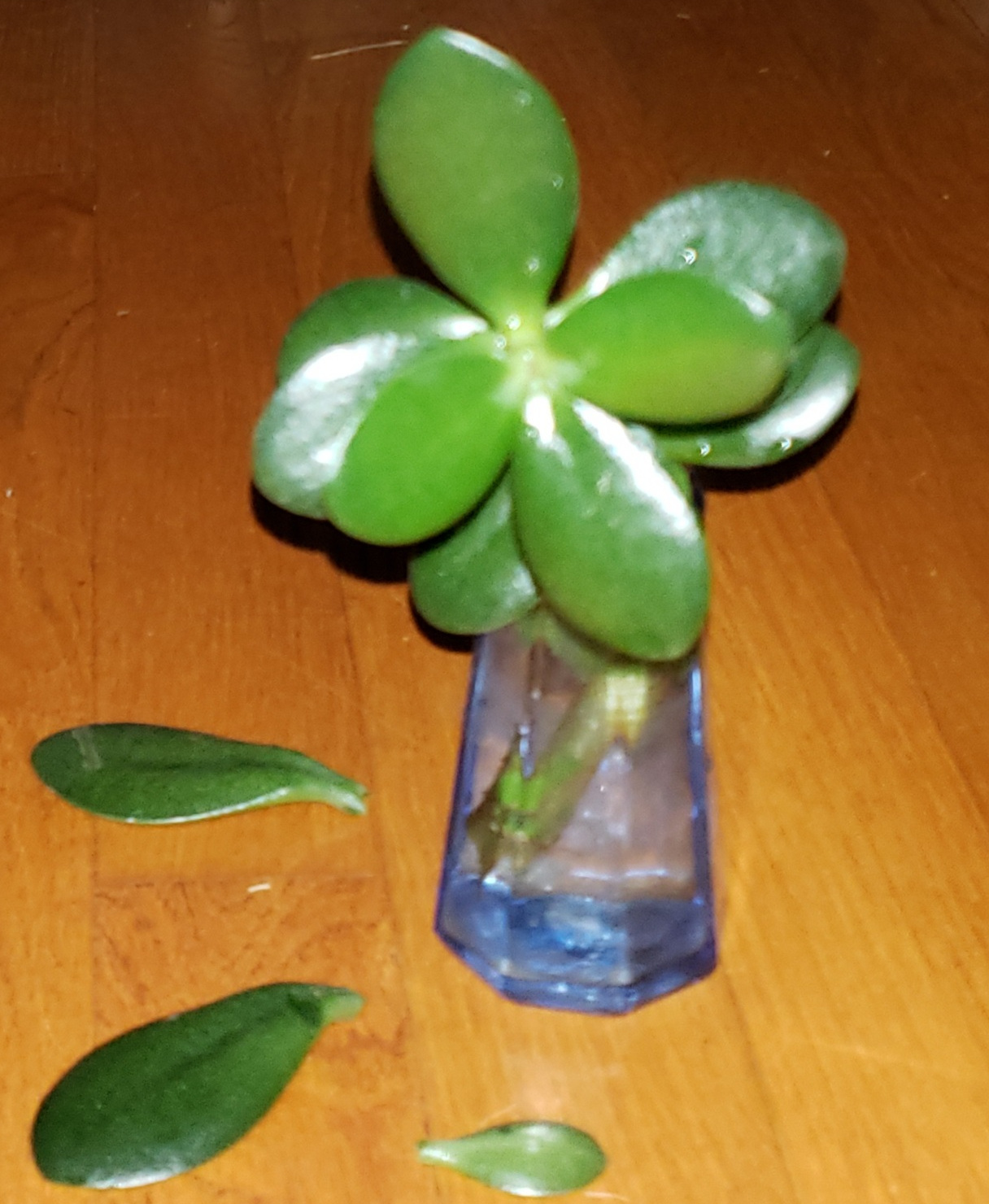 GitHub - futzu/x9k3: x9k3 is a HLS Segmenter with SCTE 35, and  Liv...