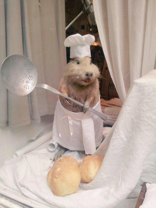 CbwegF5W0AEEufK.jpg%3Alarge?width=512&he