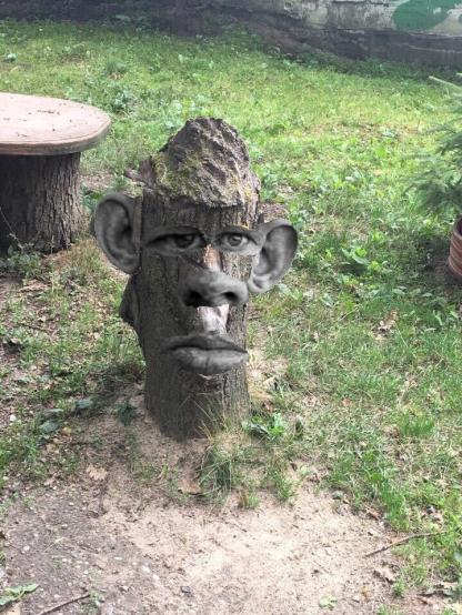 mRz7mhRoAS4.jpg?width=416&height=555