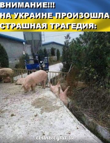 dkSLbgb.jpg?width=359&height=467