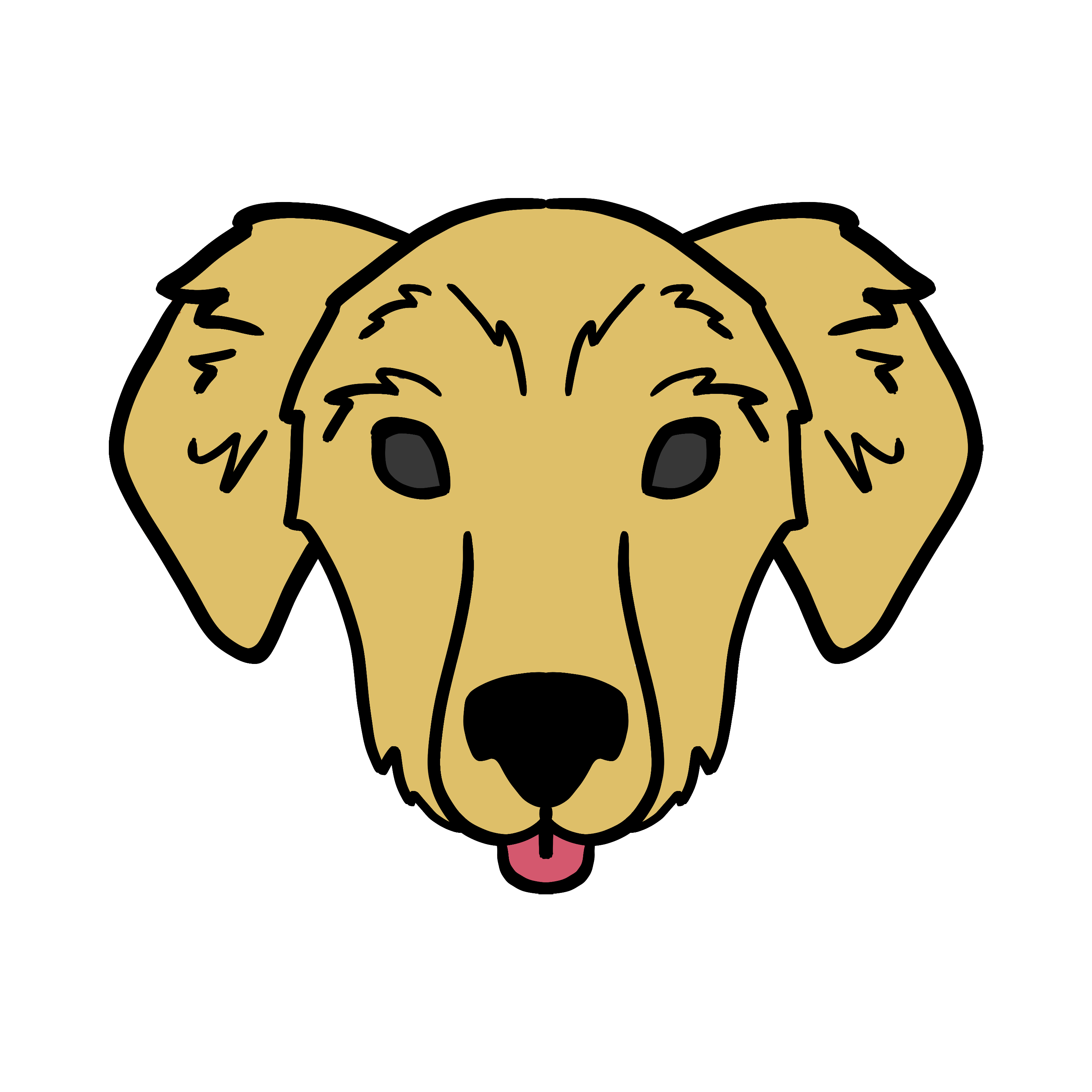 Author icon