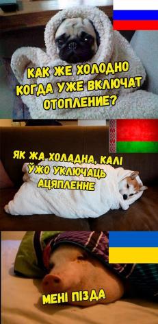 TkDNbsZUQYY.jpg?width=232&height=472