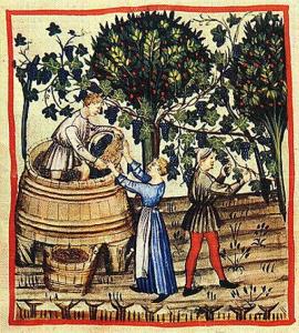 Vendemmia.jpg?width=271&height=300